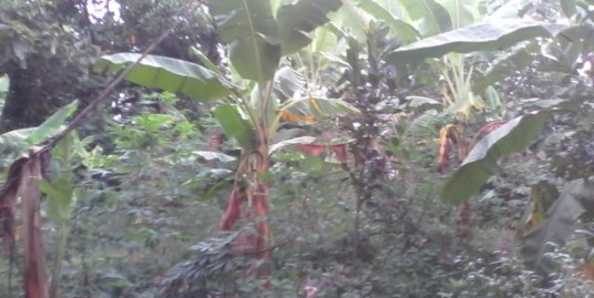 6 Cents of Residential land for sale near Medical College Kottayam