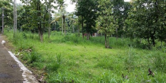 73 cent plot for sale(Full/Part) in Chengannur. Price: 3 lakhs/cent