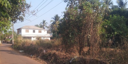 Residential Plot For Sale: 0.5 kms from Taliparamba Main Bus Stand