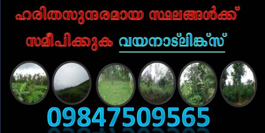 50 Cent Land with House for Sale at Choothupara, Wayanad Price -16 Lakhs