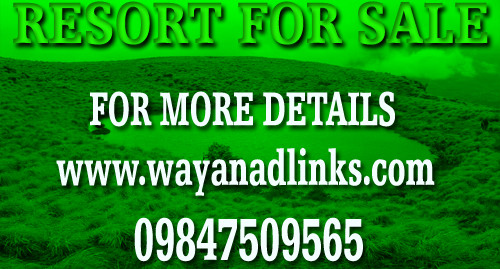Resort in 4 Acre Land with 12 Rooms  for Sale in Wayanad