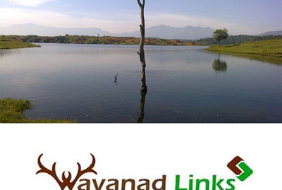 1.50 Acre land for sale in Wayanad