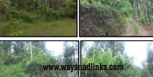 7 Acre Agricultural Land For Sale at Ambalavayal, Wayanad