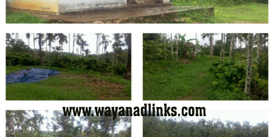 10 Acre Mixed Agricultural Land with Small House for Sale at Thomattuchal, Wayanad