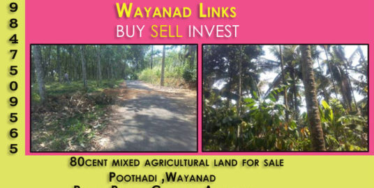 80 Cents Agricultural Land for Sale at Poothadi ,Wayanad