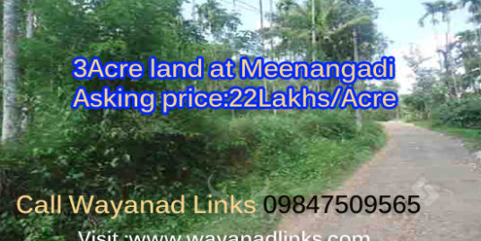 3 Acre Land For Sale at Meenangadi ,Wayanad