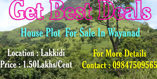 10 Cent House Plot  for Sale at Lakkidi, Wayanad