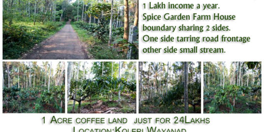 1 Acre Land for Sale at Koleri near Spice Garden Farm House Wayanad