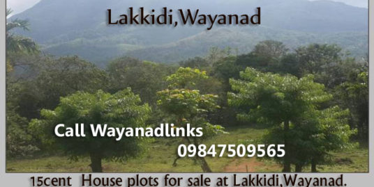 15 Cent House Plots for Sale at Lakkidi , Wayanad