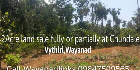 2 Acre Land for Sale as Single or Multiple Plots at Vythiri , Wayanad