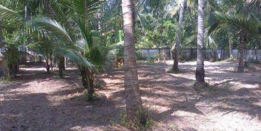 17 Cent Residential Land for Sale in Munnamkutty,Kayamkulam,Alappuzha
