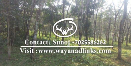 4 Acre Rubber Plantation Land for Sale at Kenichira , Wayanad. 20 Lakhs/Acre