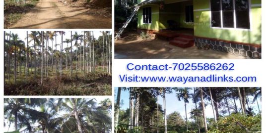 1 Acre Agricultural Land with House for Sale at Nadavayal, Wayanad
