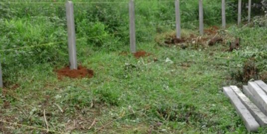 8 Cent Square Plot for Sale in Ambalavayal, Kalpetta, wayanad