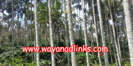 2 Acre Agricultural Land for Sale in Meenagadi, Wayanad