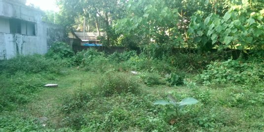 10 Cents Residential Square Plot  for Sale at Chitrapuzha, Irimpanam