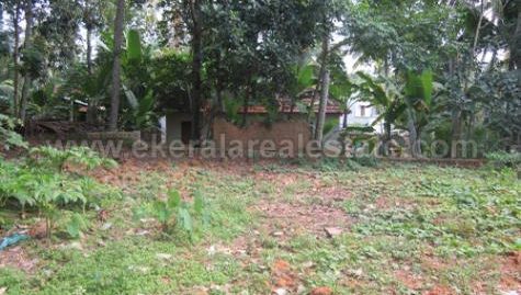 18 Cent Plot for Urgent Sale Near Chathannoor, Kollam Kerala