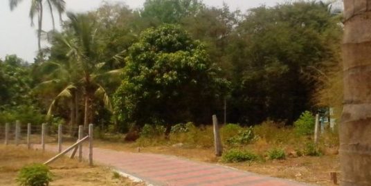 5 Cents, 7 Cents, 10 Cents Residential Plots For Sale at Kottayi, Palakkad