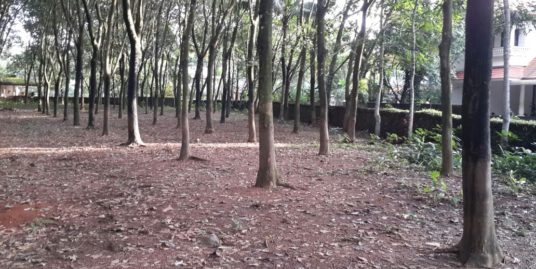 130 Cents of Prime Land for Sale at Njarallur near Pattimattom, Kizhakkambalam, Aluva