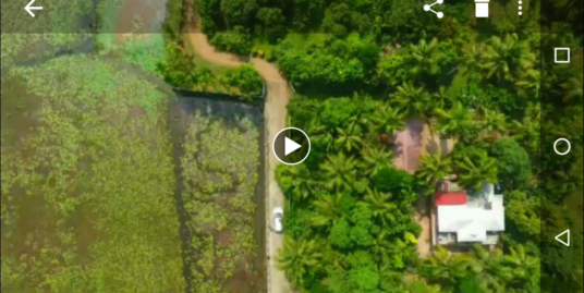 Green Island Plot  with Land, Paddy Fields and Ponds for Sale Near Thrissur, Kerala