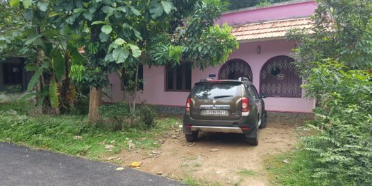 House with 16 Cent Land for Sale in Nooranad, Kayamkulam, Alappuzha