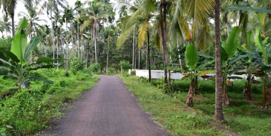 5 Acre  River side property for Sale at Koyilandy, Kozhikode.