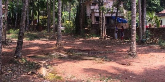 29 Cents of Plain Residential Plot for Sale at Kozhikode