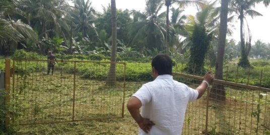 2 Acre Property for Sale Nadathara, Thrissur