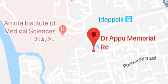 20 Cents Land with House (3000 sq.ft) in Ponekkara, Edappally, Kochi