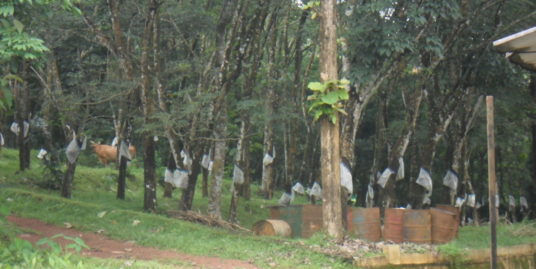 10 Cents Plots for Sale in Kuzhimattom, Kottayam