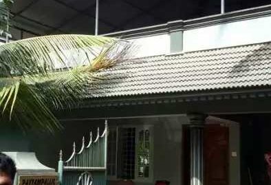 10 Cent Land, 3BHK, 2000 sq.ft House For Sale at Thrickodithanam, Kottayam