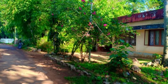28 Cent House Plot for Sale in Charummoodu, Alappuzha