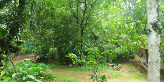 5 Cents Residential Land for Sale Near Athani , Aluva
