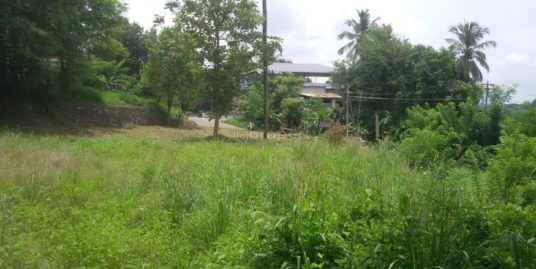 50 Cents Commercial Cum Residential Land for Sale at Vadanamkurussi, Palakkad – Ponnani Highway