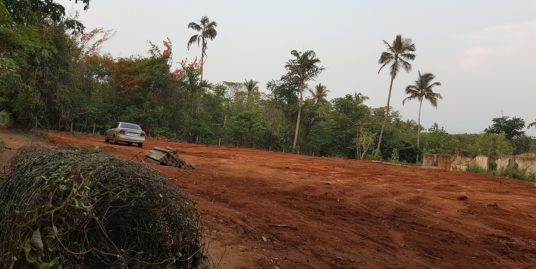 45 Cents Residential Land For Sale at Pathiripala, Palakkad