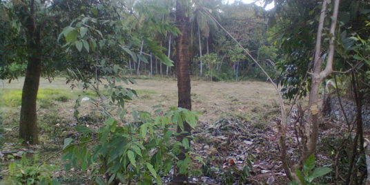 7.43 Cent House Plot for sale in Chandakkunnu, Nilambur, Malappuram