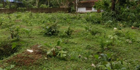 50 Cents Land (for Agriculture or Commercial Purpose) For Sale at Ezhamkulam,Adoor, Pathanamthitta