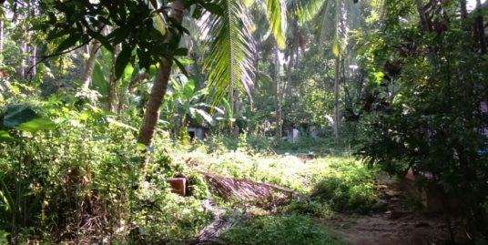 33 Cent Plot for Sale in Uroob nagar ,Arya Nagar, Ponnani Malappuram