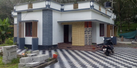 Small Stylish House For Sale at Karukachal, Kottayam