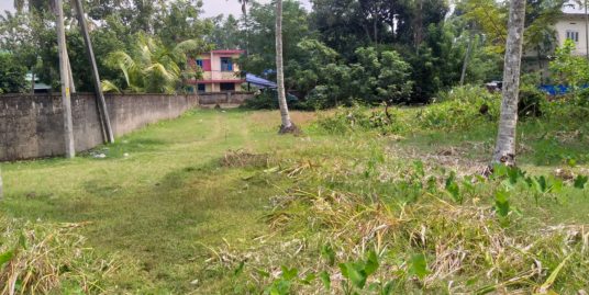 Residential Land for sale in Thonnyakavu, North paravoor, Ernakulam