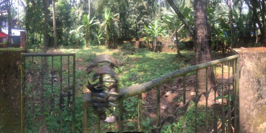 Land for sale in Perinthalmanna