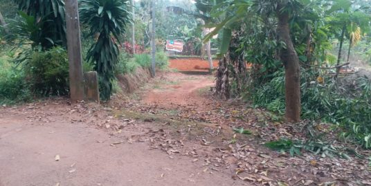 11 Cent Square Plot at Vadasserikkonam, Varakala for 1.9 Lakhs per Cent