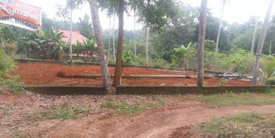 11 Cent Square Plot For Sale at Vadasserikkonam, kallambalam