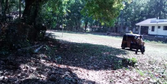 71 Cents Residential Land for Sale at Kothamangalam