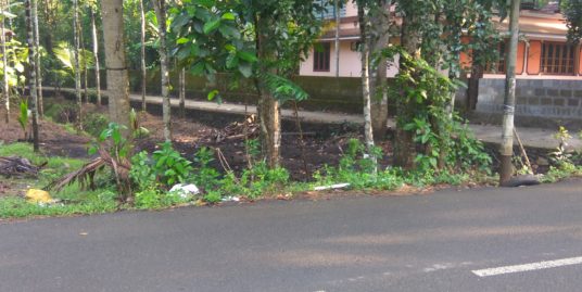 8 to 40 cents Residential plotFor Sale on Aluva-Mala main road at Mala, Thrissur