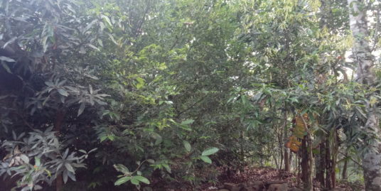 3 BHK House and Land for Sale near Brilliant Study Centre Pala, Kottayam