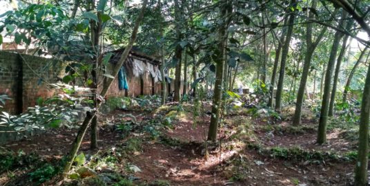 16.75 cent Plot for Sale Udayanakulangara, Suitable for House or Shop