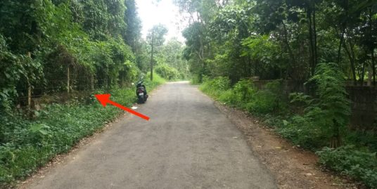 42 Cents Plot For Sale Near Gov Medical College, Velapaya, Thrissur