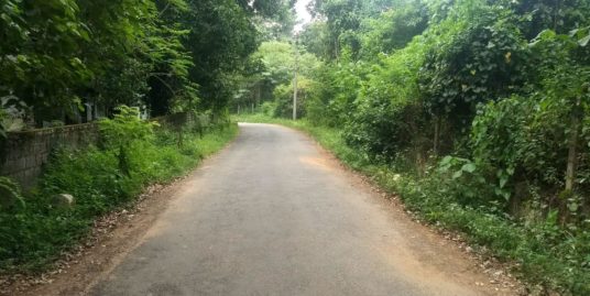38 Cents Plot For Sale Near Manitara Community Hall Thrissur (Part/Full Sale)