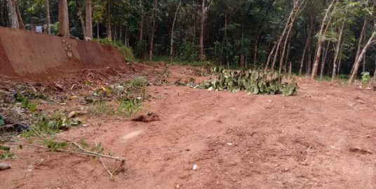 10 Cent Land for Sale Near Thevalappuram, Parayil Jn. Puthoor